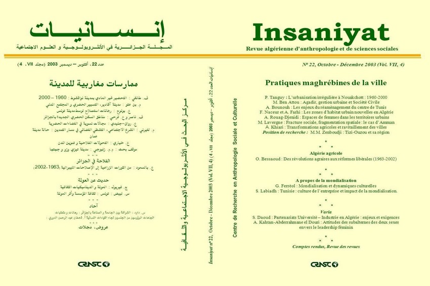 cover_caption 22 – Pratiques Maghrébines de la Ville